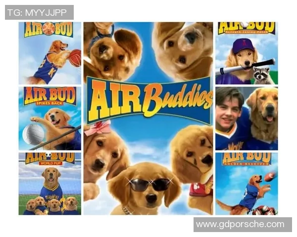 哈士奇足球明星的名字揭秘一起了解这只运动天才的故事